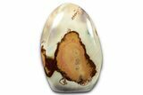 Free-Standing, Polished Polychrome Jasper - Madagascar #341852-1